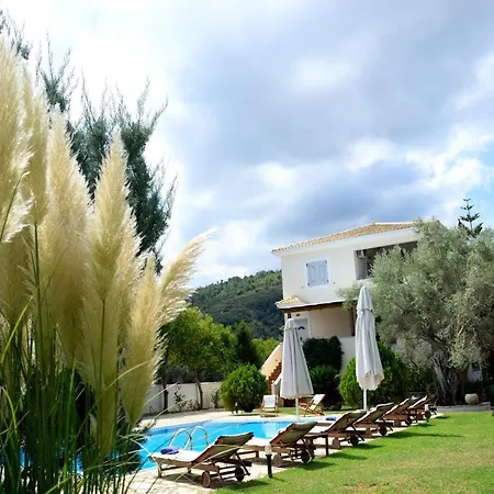 فيلة Dioni